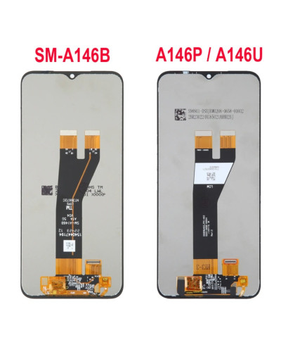Дисплей Samsung A146P Galaxy A14 5G з сенсором (Чорний) Original Pack